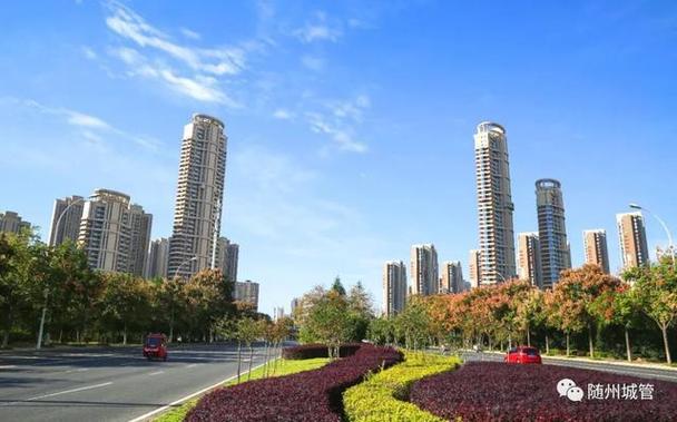 花园行动齐参与，广水城区焕新颜——城区综合治理联合行动全面启动