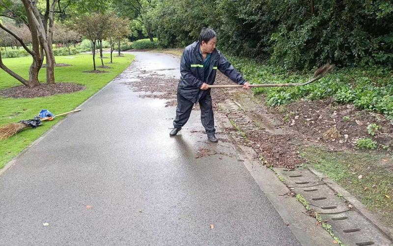 暴雨过后又见保洁 城乡市容管理按下“恢复键”