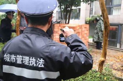 精细化赋能城乡市容管理 绘就宜居新画卷